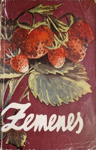 Zemenes 