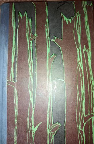 Aivars Silava dzīve