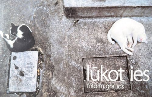 Lūkot ies