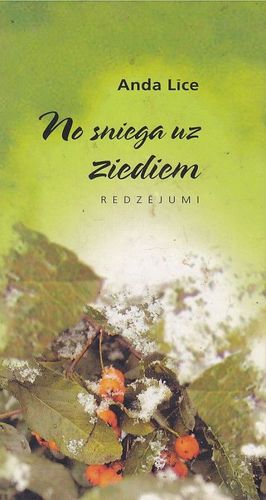 No sniega uz ziediem