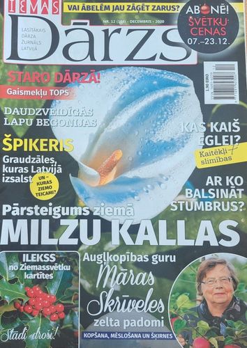 Ievas Dārzs 12/2020