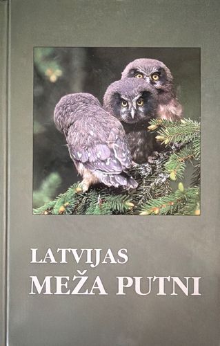 Latvijas meža putni