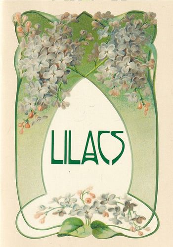 Lilacs