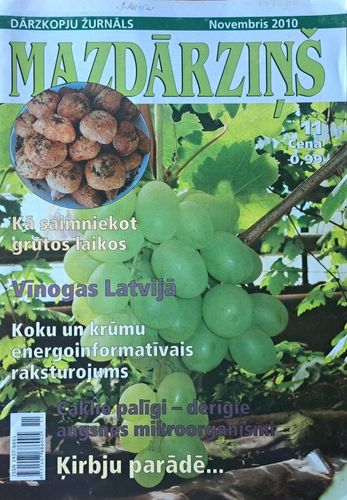 Mazdārziņš 11/2010
