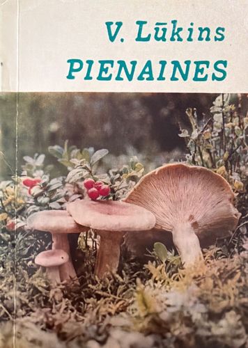 Pienaines