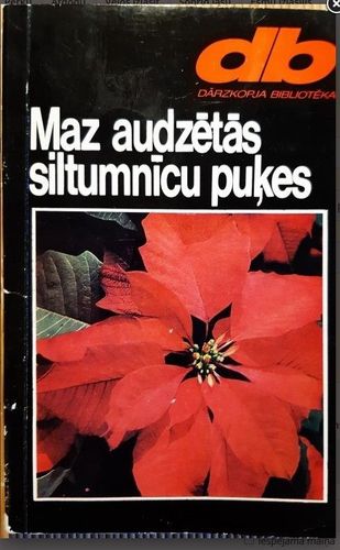  	Maz audzētās siltumnīcu puķes