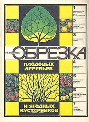 Обрезка плодовых деревьев и ягодных кустарников