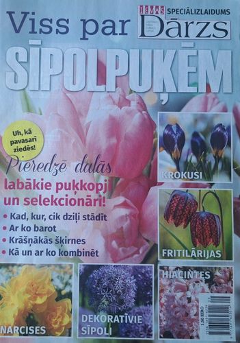 Ievas Dārzs 2020 speciālizlaidums  Viss par sīpolpuķēm