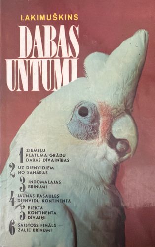 Dabas untumi
