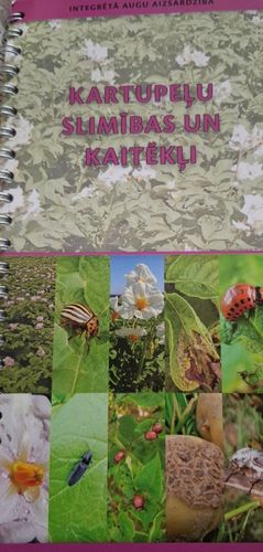 Kartupeļu slimības un kaitēkļi