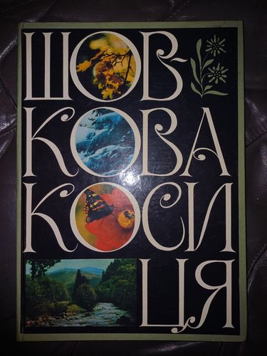 ШОВКОВА КОСИЦЯ