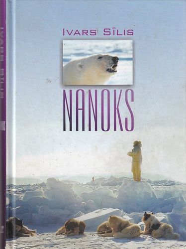 Nanoks