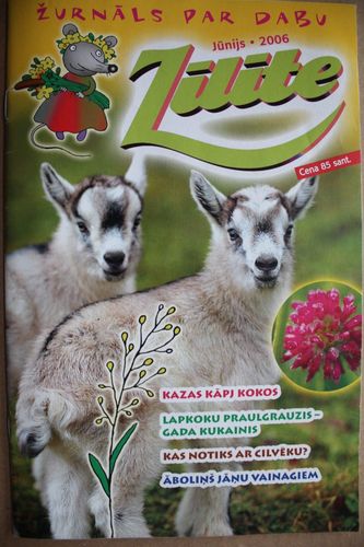 Zīlīte. 2006 g. Nr.  jūnijs.