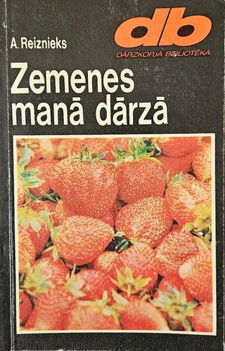 Zemenes manā dārzā