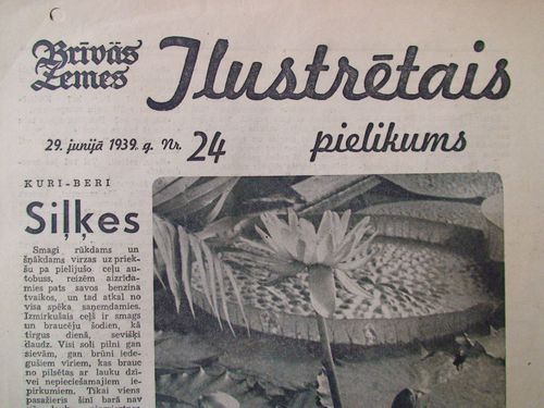 Brīvās Zemes Ilustrētais Pielikums. 1939 g. Nr.24