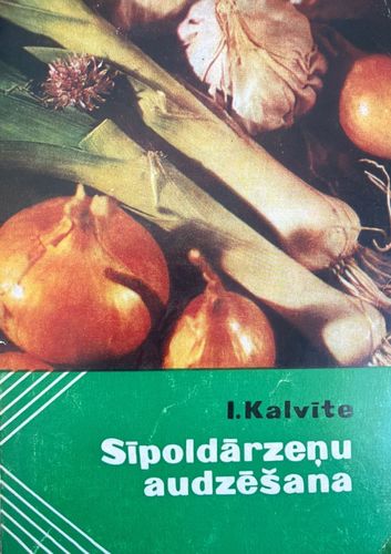Sīpoldārzeņu audzēšana