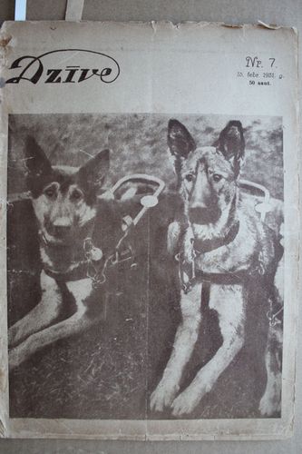 Dzīve. 1931 g. Nr.7
