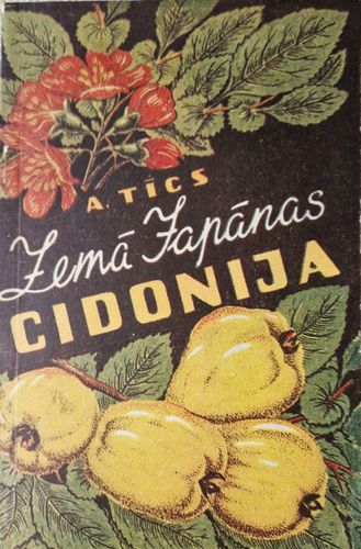 Zemā japānas cidonija