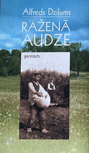 Raženā audze