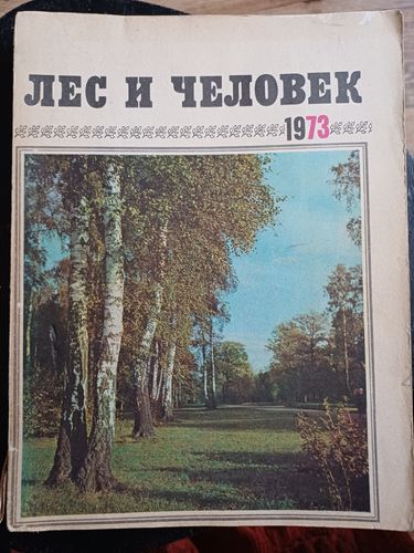 Лес и человек / 1973