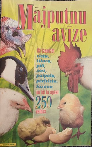 Mājputnu avīze