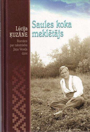 Saules koka meklētājs