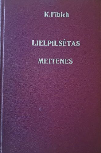 Lielpilsētas meitenes