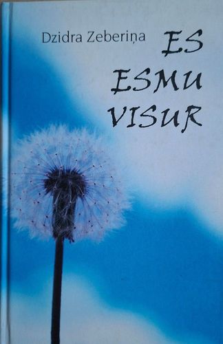 Es esmu visur