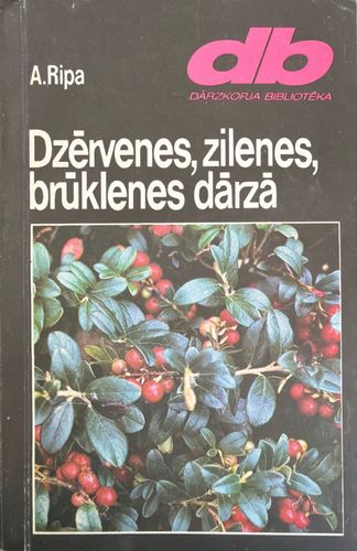 Dzērvenes, zilenes, brūklenes dārzā